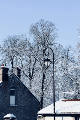Paysage Sud Essonne sous la neige ©Virginie Boullé