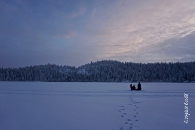 Laponie, Finlande ©Virginie Boullé