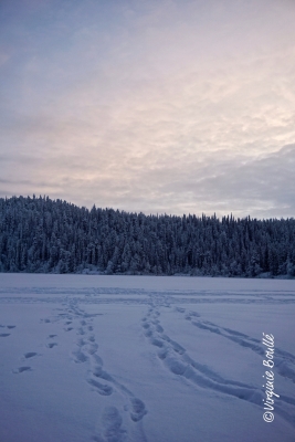 Laponie, Finlande ©Virginie Boullé