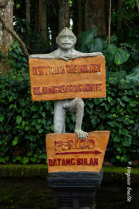 Monkey Forest de Sangeh, Bali ©Virginie Boullé