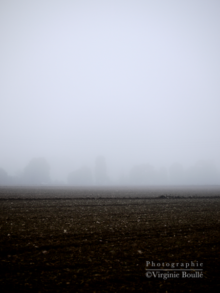 Bretagne novembre 2011 3