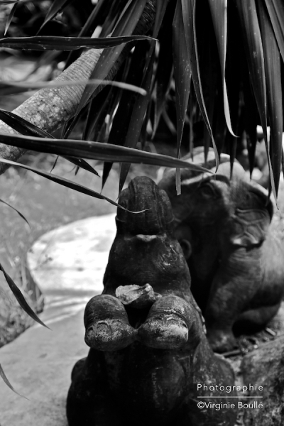 Namuang, Koh Samui, Thaïlande ©Virginie Boullé