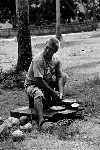 Culture des cocotier, Koh Samui, Thaïlande ©Virginie Boullé