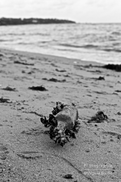 Plage de Lamai Koh Samui, Thaïlande ©Virginie Boullé