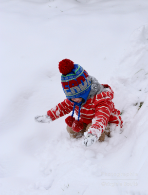 First neige ©Virginie Boullé