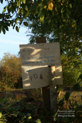 Marais d'Itteville ©Virginie Boullé