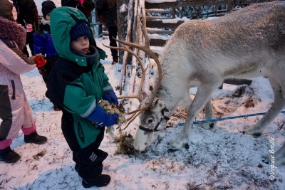 Laponie, Finlande ©Virginie Boullé