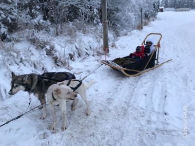 Laponie, Finlande ©Virginie Boullé