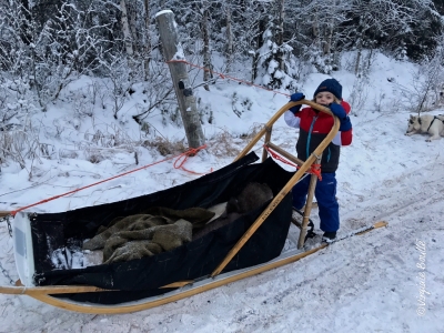 Laponie, Finlande ©Virginie Boullé