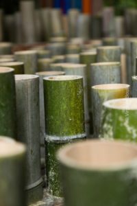 La Bambouseraie, Cévennes, Fr. © Virginie Boulle