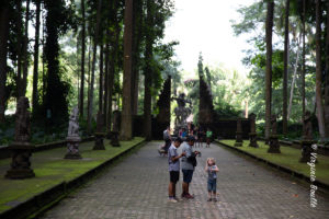 Monkey Forest de Sangeh, Bali ©Virginie Boullé